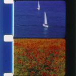 A color photo of two frames of 16mm film from Rose Lowder's Poppies and Sailboats. The top frame depicts sailboats on calm blue water. The bottom frame depicts a field of red and yellow flowers.